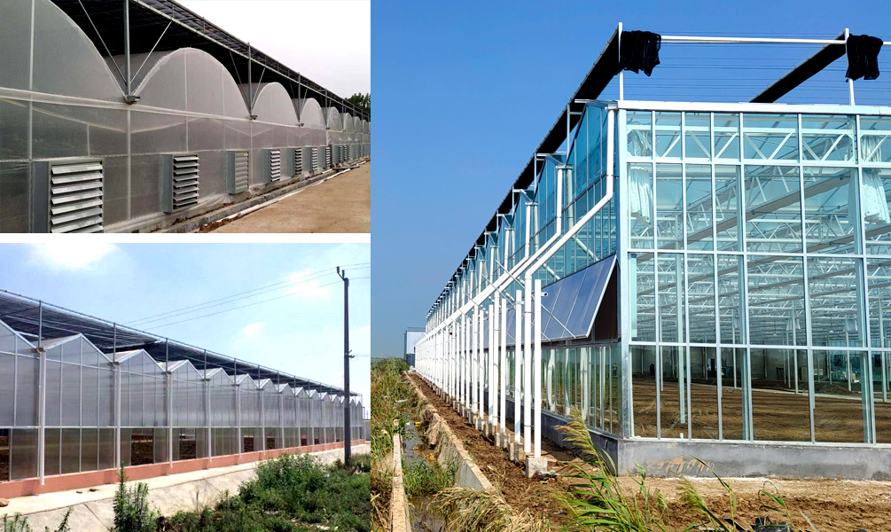 66277ca26027a.jpg 未標題-1.jpg